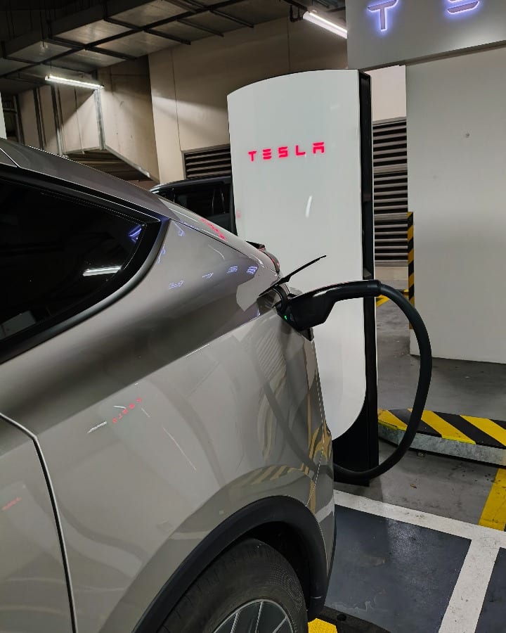 Tsla Model YL